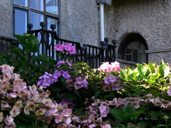 Bois des Moutiers  (44) Summer 2012